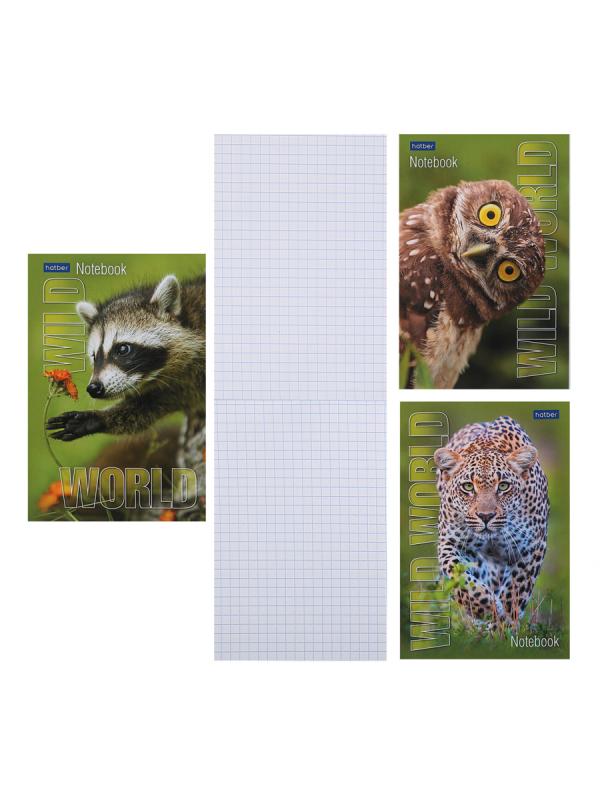 Блокнот А6 (100*145) 40л клетка склейка обл мягк карт Hatber Дикий мир глянц лам жест подлож 